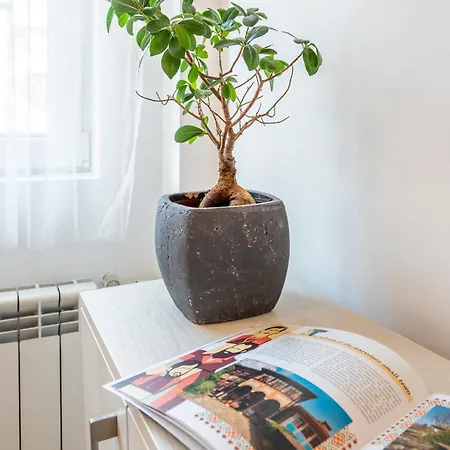 Sofia41 - Prime Location