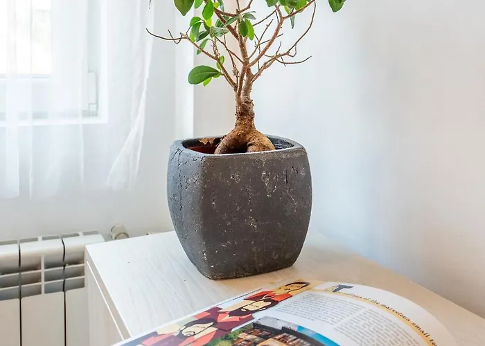 Sofia41 - Prime Location